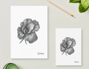 Kartka  gratulacje kartka okolicznościowa