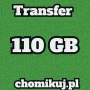 TRANSFER CHOMIKUJ 110 GB BEZTERMINOWO
