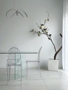 Drzewko biała doniczka naturalne drzewko 