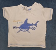Koszulka dziecięca rekin młot C&A r. 68