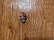 Odznaka Pionierska ZSRR - Zawsze Gotów II klasy