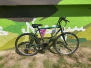 Rower Unibike Trawers zielony koła 26"