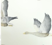 OKAZJA!Tapeta ptaki Sanderson 216611 Geese Elysian