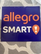 Magnes allegro smart duży 