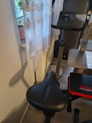 ROWER stacjonarny magnetyczny SAPPHIRE