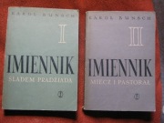 KAROL BUNSCH IMIENNIK ŚLADEM PRADZIADA MIECZ I PASTORAŁ 2 TOMY
