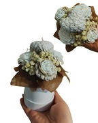 Candle Flower box ze świec sojowych – prezent na Walentynki/Urodziny