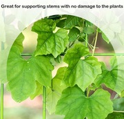 KINGLAKE zielony drut ogrodowy 2 x 10 m