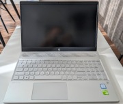 HP Pavilion 15 cs-1016ur: i5-8265U, 16GB/500 GB, MX150 2GB.