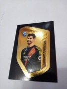 Fifa 365 2025 adrenalyn XL naklejki My Golden Team THIBAUT COURTOIS COU 