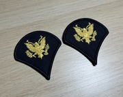 Naszywka - US Army - Specialist 4 E-4 (Blue/Gold) SPC - para