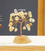 Naturalny CYTRYN w srebrnym pudełku – Kamień Sukcesu