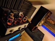 Cayin A-55T | Nowe Lampy Psvane KT88 | Stan Gabinetowy | Pełen Zestaw |