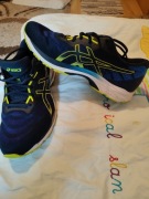 Buty Asics gel-ziruss 4, rozmiar 47-wkladka 31cm.