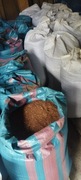 Facelia błękitna 4kg
