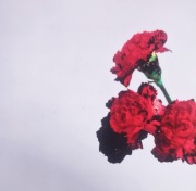 JOHN LEGEND LOVE IN THE FUTURE (Funk, Soul) (5)