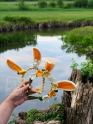 Opaski , Bukiety, Doniczka ceramiczna Kwiaty, prezent , druciki szenilowe