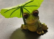 Śliczna żabka z parasolem.