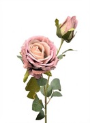 Róża Gałązkowa Premium – Antyczny Róż  – Shabby Chic