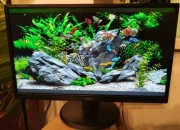 Używany monitor iiyama ProLite X2483HSU-B2