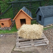 Słoma Legowisko Ściółka Kostka 7kg Do Budy Dla Psa