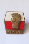 PRZYPINKA WPINKA PINS WZOROWY KADET LWP MENNICA