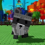 Racoon grow a Garden 