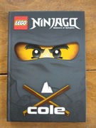 Ninjago Mastera of Spinjitzu. Cole. Ninja Ziemi i Prawdziwy bohater. Farsht
