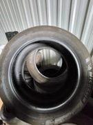 Michelin Pilot Alpin 5 ZP 245/50R19