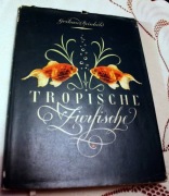 Tropische Zierfische - Tropikalne ryby ozdobne