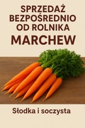 Marchew worek 10 kg