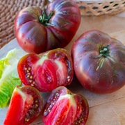 Pomidor Noire de Crimee nasiona kolekcjonerskie