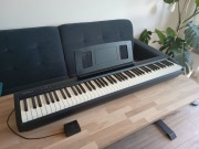 Pianina cyfrowe Roland FP-10 BK [Jak nowe]