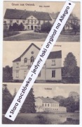 OWIŃSKA k. Czerwonak, Poznań, pałac, gospoda 1918