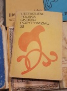 Literatura polska okresu pozytywizmu 1984 
