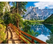 Sprzedam obrazy malowane na płótnie 