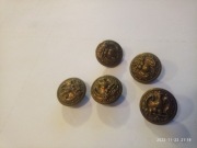 Guziki wojskowe korpusu US Marines 5 szt. z orłami