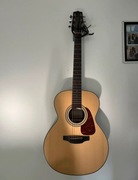 Gitara takamine gn10 ns