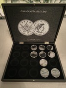 Kaseta na srebrne monety Liść Klonu