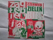 Vlepki Zagłębie Sosnowiec Barwowe #2