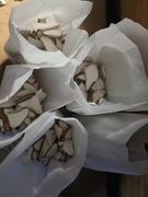 Odporność -Białoporek brzozowy  ręcznie zbierany -doskonała jakość 100g