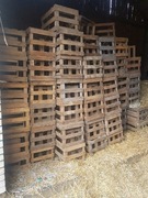 Skrzynki drewniane na kapuste pekińską, warzywa