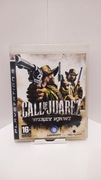 Call of Juarez Więzy Krwi PS3 Playstation 3 PL dystrybucja 
