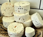 Sery kozie podpuszczkowe od kóz anglonubijskich bezzapachowe 