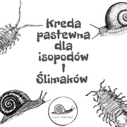 Kreda pastewna wapno isopody achatina ślimak wij 