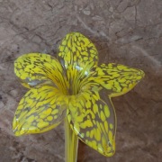 Szklany recznie robiony kwiat irys