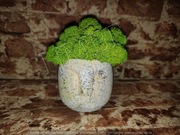 Ceramiczna głowa z mchem chrobotkiem