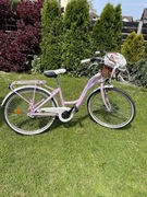 Rower Monteria Milano 24” rama14