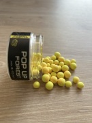 Pop-up CarpForest MulberryFlorentine 8-10mm