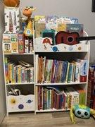 Regał na Zabawki, z pojemnikami, segregacja,dla dzieci, z półką na książki